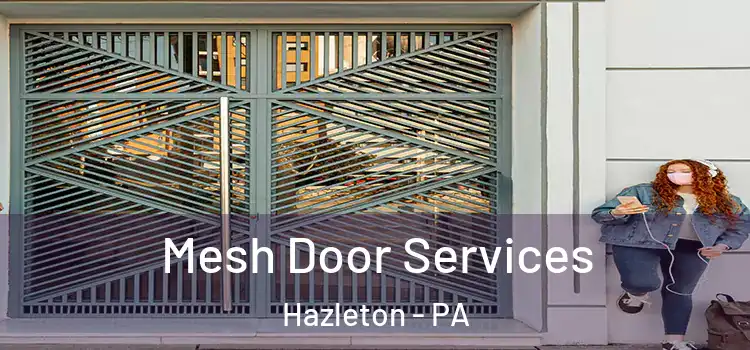 Mesh Door Services Hazleton - PA